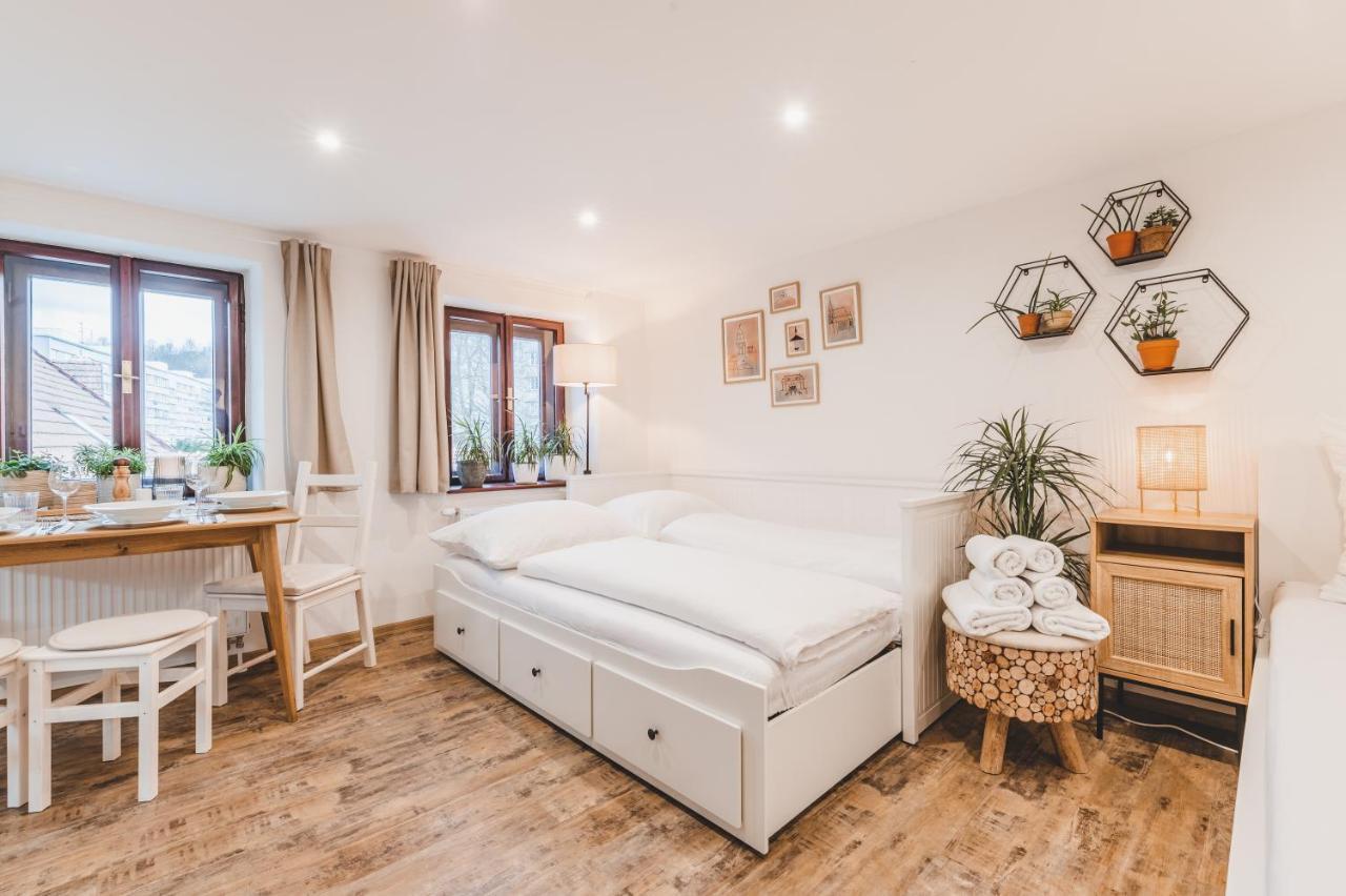 Konekt Apartment Czeski Krumlow Zewnętrze zdjęcie